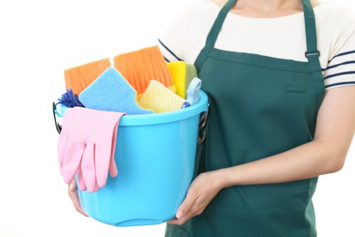 Professional rug cleaning service for homes in SE24 with local property access considerations
