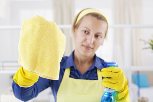 Local oven cleaner handling a domestic kitchen in SE24