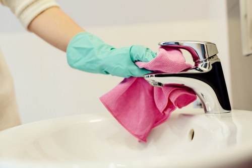 Carpet cleaning team using sustainable equipment in SE24