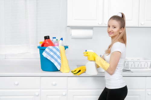 Professional domestic cleaning for SE24 properties