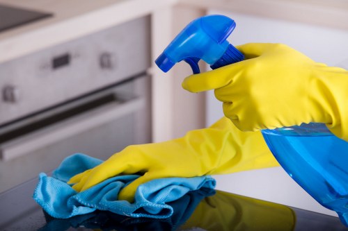 Domestic cleaning tasks for kitchens and bathrooms in SE24 homes