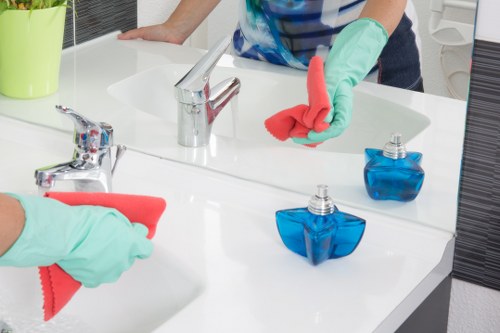Kitchen and bathroom cleaning tasks for SE24 households
