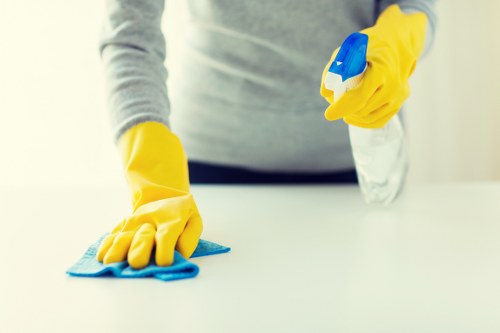Cleaner reaching upper-floor windows on a SE24 building