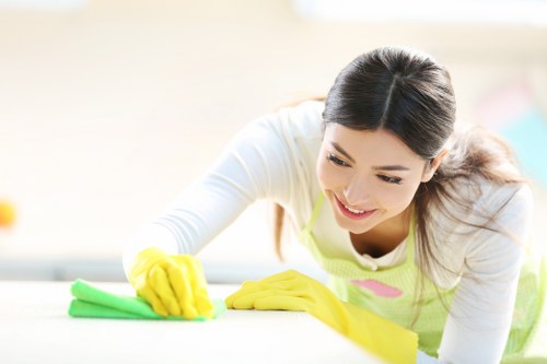 Deep cleaning support for SE24 properties with access challenges