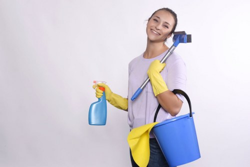 Detailed dust removal after construction work in SE24
