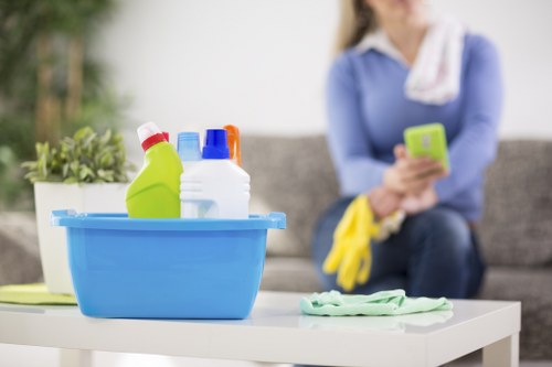 Deep cleaning preparation for a SE24 domestic property