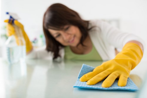 Professional local cleaning team in the SE24 area