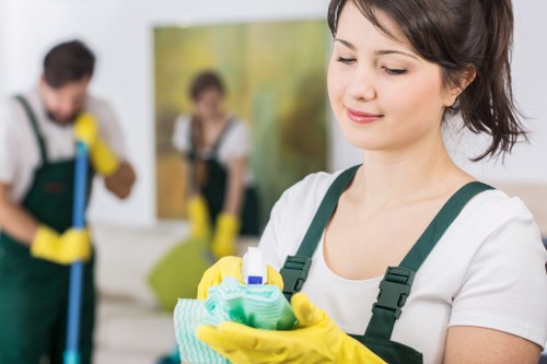 Treating stains and high-traffic areas on SE24 carpets