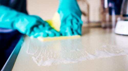 Cleaner working in a Herne Hill or Brockwell Park area flat