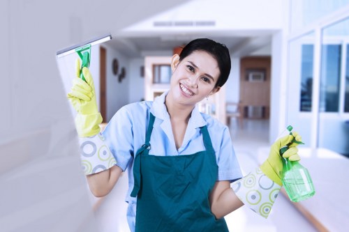 Local domestic cleaning service for a flat in SE24