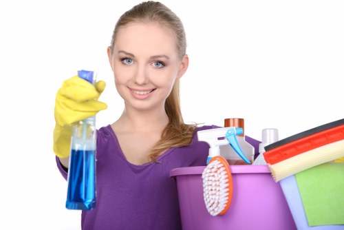 Local cleaning support for flats and period homes in SE24