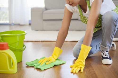 Regular house cleaning service for busy residents in SE24