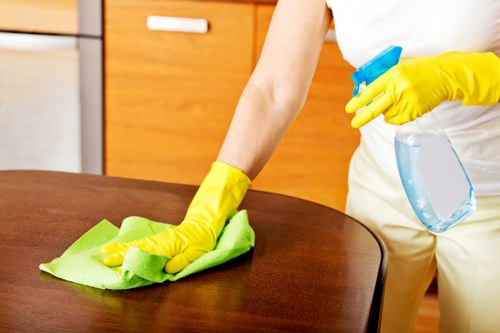 Regular cleaning service for homes near Herne Hill and Dulwich in SE24